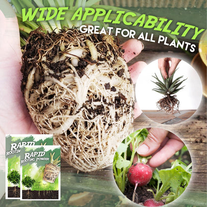 Rapid Rooting Powder