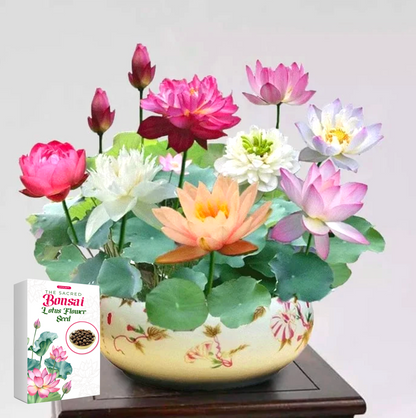 🌺 GFOUK™ The Sacred Bonsai Bowl Lotus Flower🌸